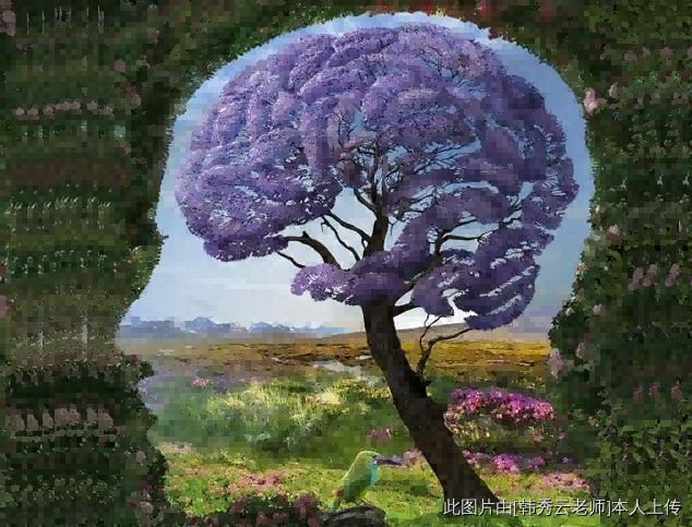 精神功能評估成為常規檢查