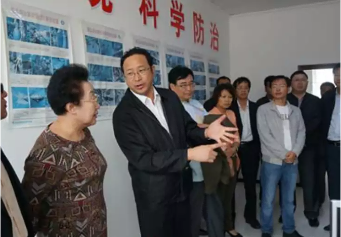 從美學(xué)成歸國，拉平板車授課，完成多個(gè)863計(jì)劃項(xiàng)目